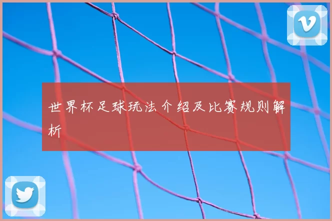 世界杯足球玩法介绍及比赛规则解析