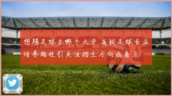 想踢足球去哪个大学 高校足球专业培养路径引关注招生方向成看点