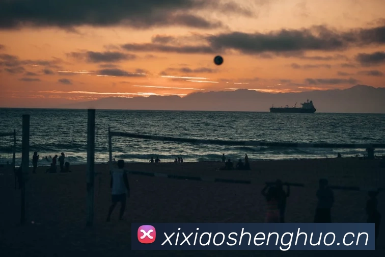 米兰网页版·官方端在线 - 米兰MiLan(中国)APP 封面图