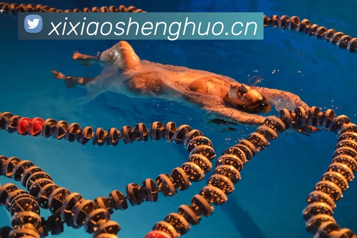 奖项3